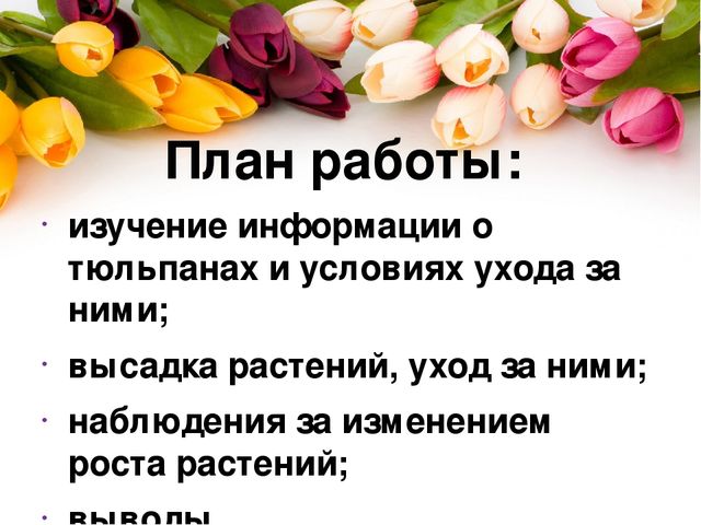 Презентация проекта по окружающему миру