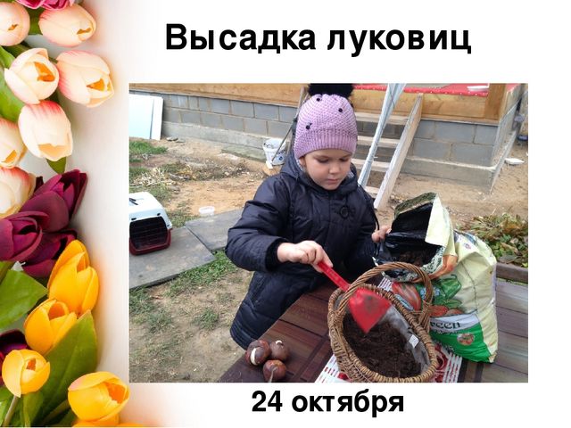Презентация проекта по окружающему миру