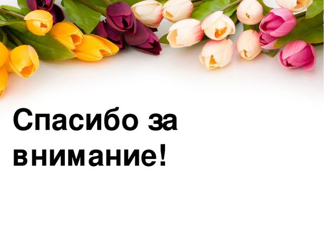 Презентация проекта по окружающему миру