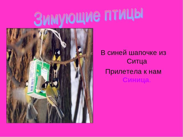 Презентация по ознакомлению с окружающим в старшей группе на тему "Зимующие птицы"
