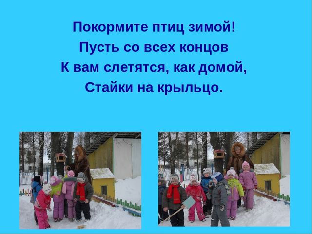 Презентация по ознакомлению с окружающим в старшей группе на тему "Зимующие птицы"
