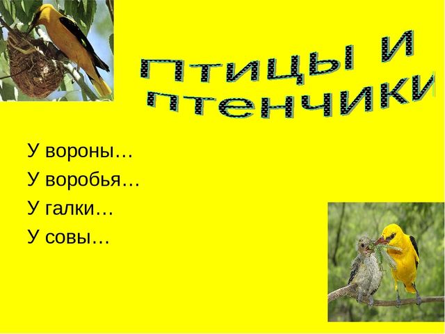 Презентация по ознакомлению с окружающим в старшей группе на тему "Зимующие птицы"