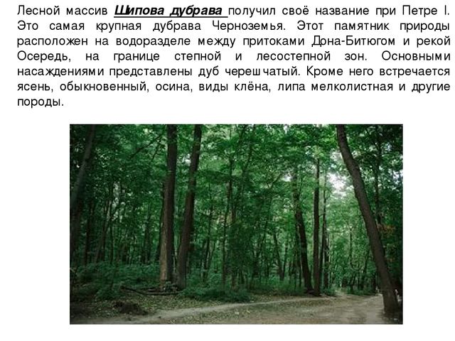 Презентация к празднованию 100-летия образования г.Бутурлиновка