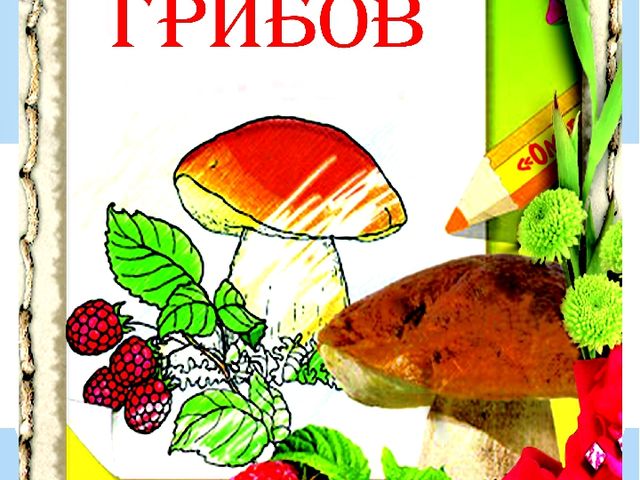 Презентация "Разновидности грибов" Основы экологии