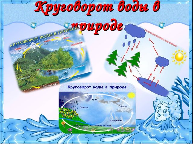 "Вода - это жизнь" проект
