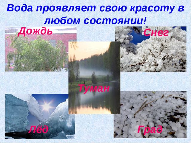 "Вода - это жизнь" проект