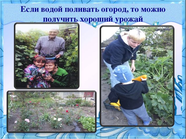 "Вода - это жизнь" проект