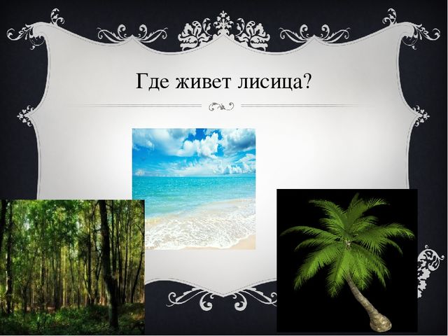 Презентация для дошкольников "Лиса в лесу"