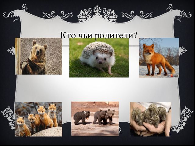 Презентация для дошкольников "Лиса в лесу"