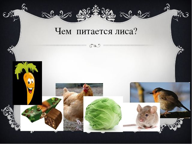 Презентация для дошкольников "Лиса в лесу"