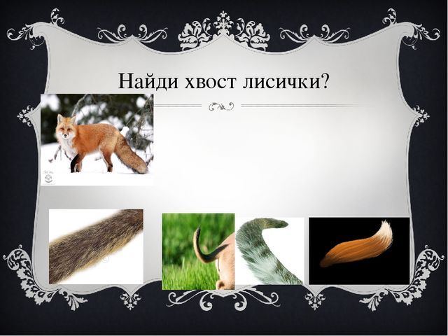 Презентация для дошкольников "Лиса в лесу"