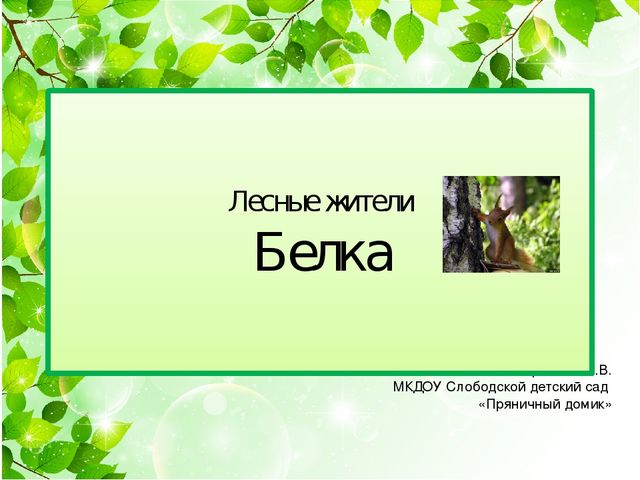 Презентация для детей дошкольного возраста"Белка"