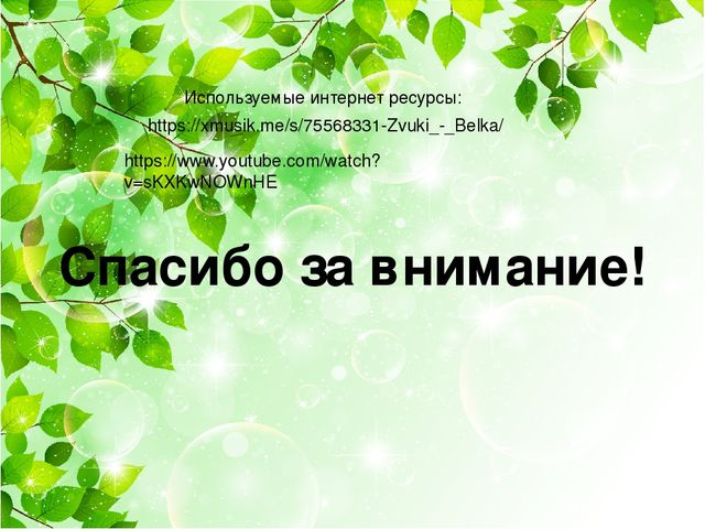 Презентация для детей дошкольного возраста"Белка"