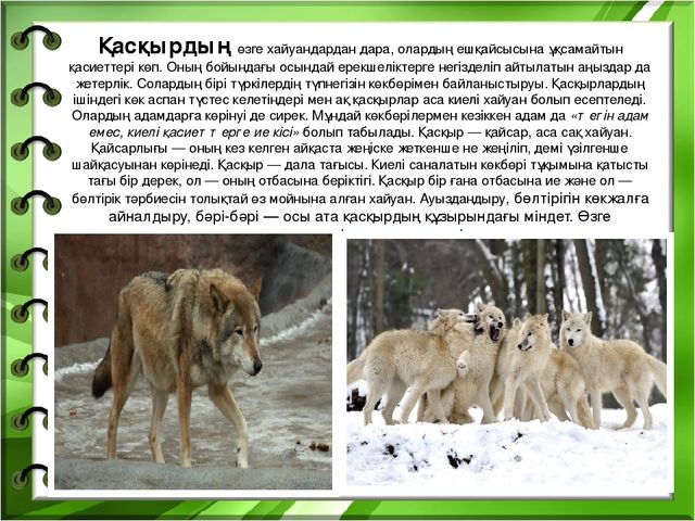 Презентация на тему "Біздің өлкенің жануарлары мен құстары"