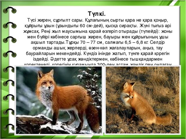 Презентация на тему "Біздің өлкенің жануарлары мен құстары"