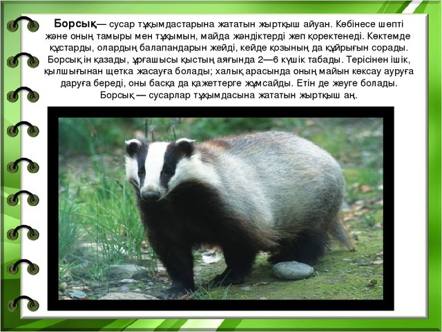 Презентация на тему "Біздің өлкенің жануарлары мен құстары"