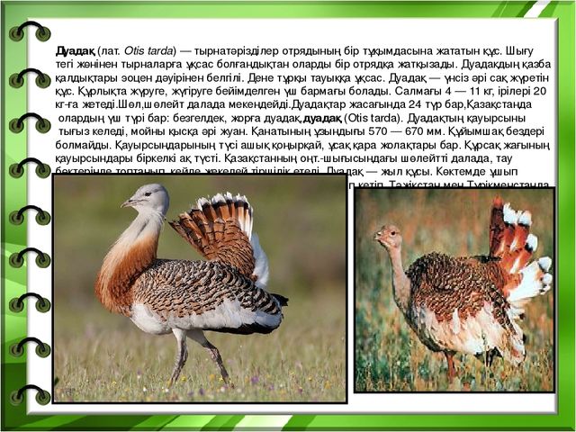 Презентация на тему "Біздің өлкенің жануарлары мен құстары"