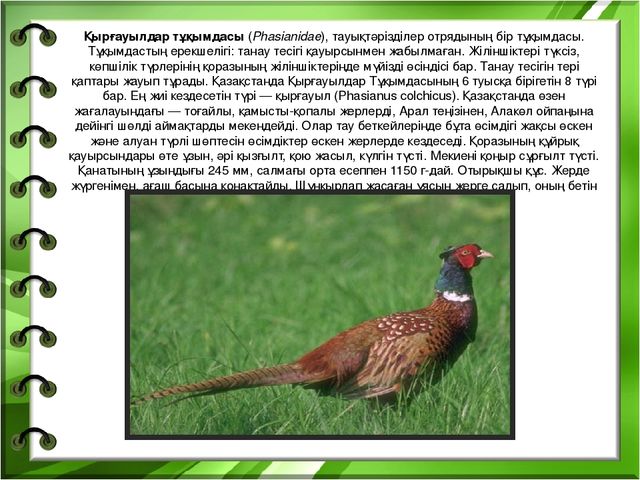 Презентация на тему "Біздің өлкенің жануарлары мен құстары"