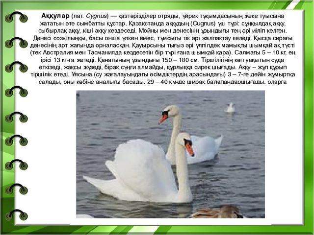 Презентация на тему "Біздің өлкенің жануарлары мен құстары"