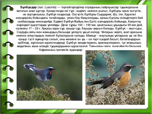 Презентация на тему "Біздің өлкенің жануарлары мен құстары"