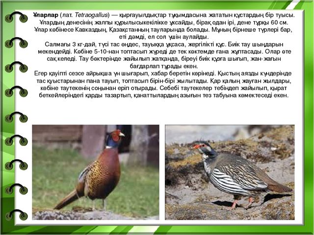 Презентация на тему "Біздің өлкенің жануарлары мен құстары"