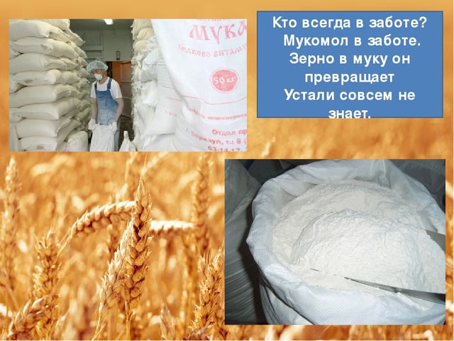 Презентация "Хлебушек душистый, теплый золотистый"
