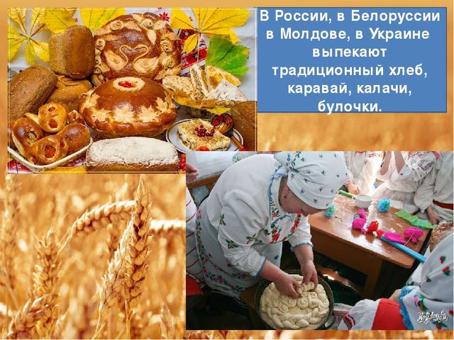 Презентация "Хлебушек душистый, теплый золотистый"