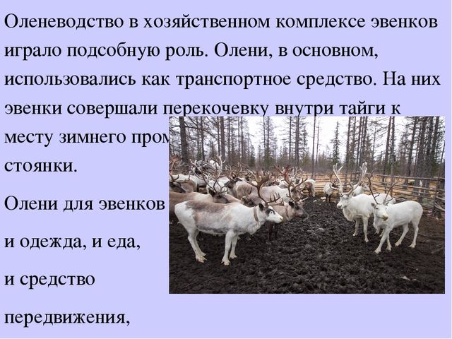 Презентация "Культура народов Забайкалья" Ознакомление с культурными традициями народов Забайкалья, формирование основ целостной эстетической культуры и толерантности через познание народных традиций.