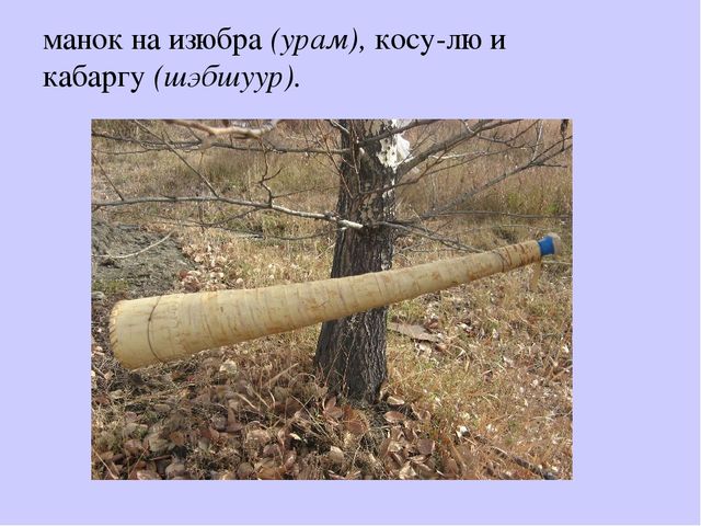 Презентация "Культура народов Забайкалья" Ознакомление с культурными традициями народов Забайкалья, формирование основ целостной эстетической культуры и толерантности через познание народных традиций.