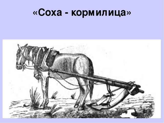 Презентация "Культура народов Забайкалья" Ознакомление с культурными традициями народов Забайкалья, формирование основ целостной эстетической культуры и толерантности через познание народных традиций.