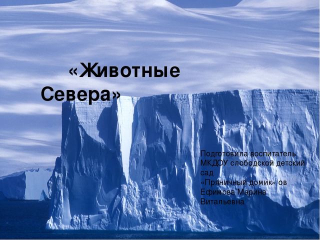 Презентация для детей дошкольного возраста"Животные Севера"