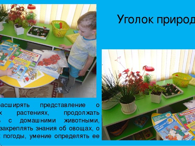 Презентация фотоотчета "опытно-экспериментальная деятельность"