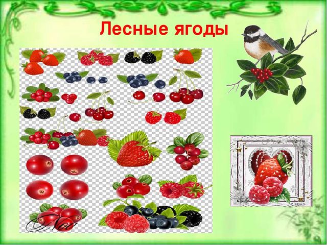 Презентация по ознакомлению с окружающим и природным миром "Лесные ягоды"