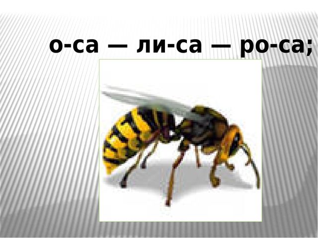 Презентация на тему "Прочитай и проговори "Слова-друзья".