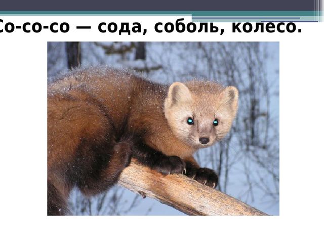 Презентация на тему "Прочитай и повтори скоровогорки"