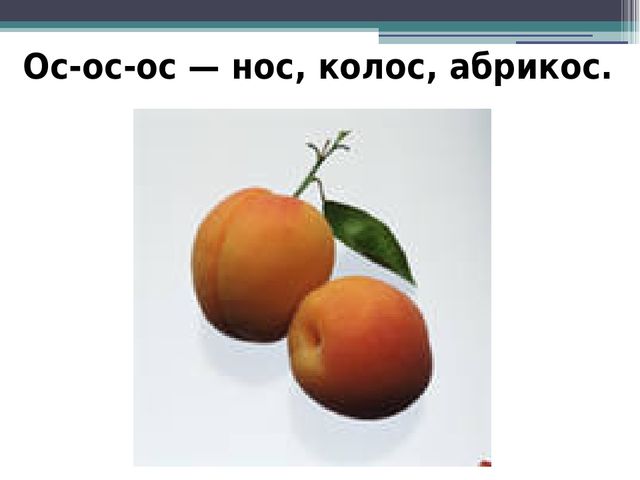 Презентация на тему "Прочитай и повтори скоровогорки"