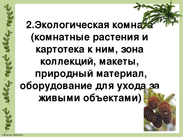 Проектирование предметно- развивающей среды в ДОУ для обеспечения разнообразной деятельности детей, повышения их познавательного и физического развития(Экология в ДОУ)