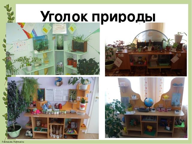 Проектирование предметно- развивающей среды в ДОУ для обеспечения разнообразной деятельности детей, повышения их познавательного и физического развития(Экология в ДОУ)