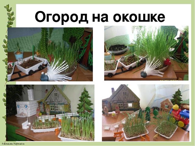 Проектирование предметно- развивающей среды в ДОУ для обеспечения разнообразной деятельности детей, повышения их познавательного и физического развития(Экология в ДОУ)