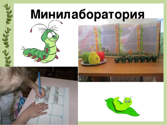Проектирование предметно- развивающей среды в ДОУ для обеспечения разнообразной деятельности детей, повышения их познавательного и физического развития(Экология в ДОУ)