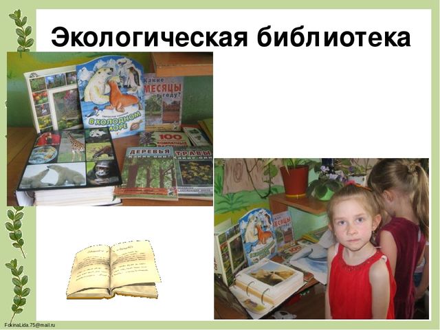 Проектирование предметно- развивающей среды в ДОУ для обеспечения разнообразной деятельности детей, повышения их познавательного и физического развития(Экология в ДОУ)