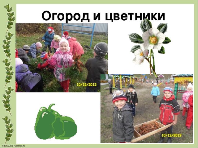 Проектирование предметно- развивающей среды в ДОУ для обеспечения разнообразной деятельности детей, повышения их познавательного и физического развития(Экология в ДОУ)