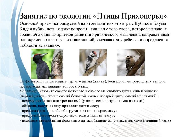 Инновационная технология "Кубик Блума"