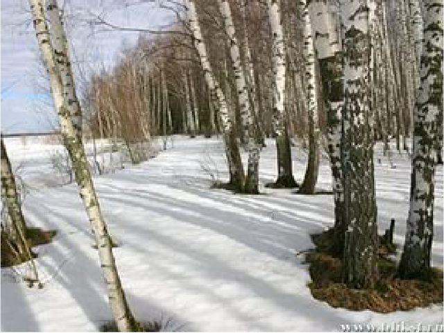 Презентация для старших дошкольников на тему: "ВЕСЕННИЕ МЕСЯЦЫ"