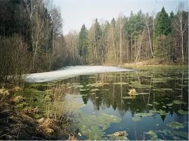 Презентация для старших дошкольников на тему: "ВЕСЕННИЕ МЕСЯЦЫ"