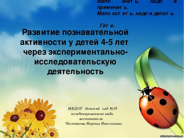 Презентация "Развитие познавательной активности у детей 4-5 лет через экспериментально - исследовательскую деятельность"