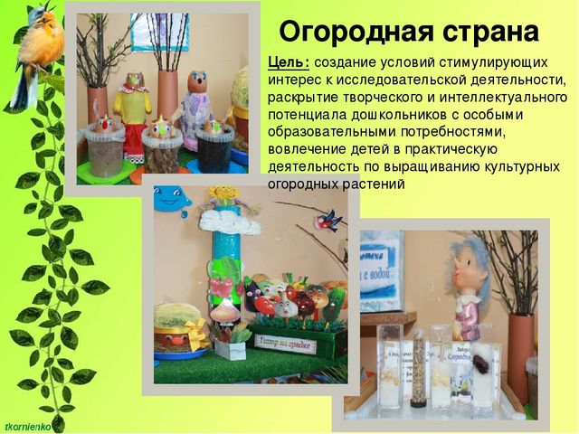 Презентация "Развитие познавательной активности у детей 4-5 лет через экспериментально - исследовательскую деятельность"