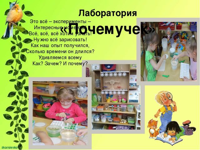 Презентация "Развитие познавательной активности у детей 4-5 лет через экспериментально - исследовательскую деятельность"