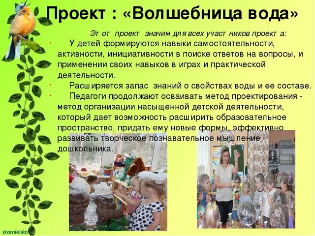 Презентация "Развитие познавательной активности у детей 4-5 лет через экспериментально - исследовательскую деятельность"