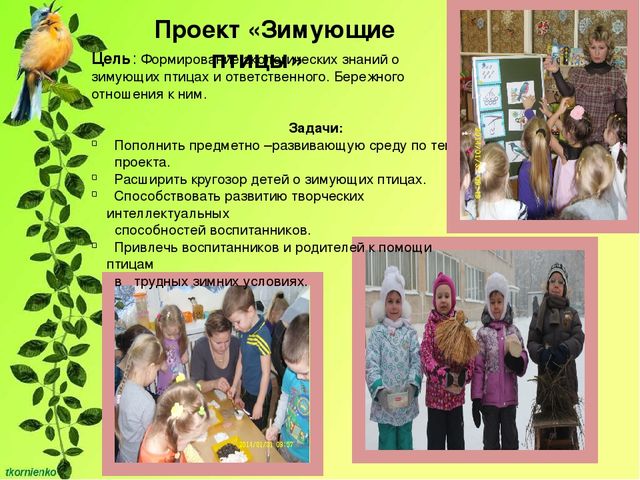Презентация "Развитие познавательной активности у детей 4-5 лет через экспериментально - исследовательскую деятельность"